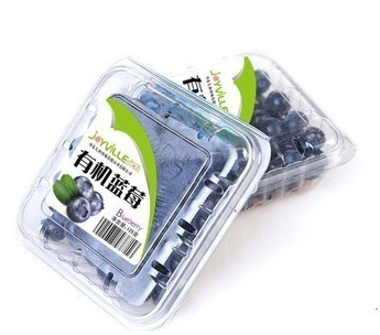 Keo dán máy dán nhãn hàng đầu Máy mã hóa tùy chọn Máy dán nhãn